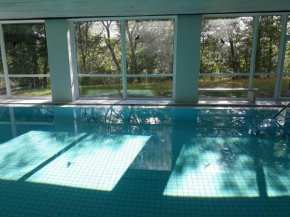 Fewo-Heikenberg-mit-Schwimmbad